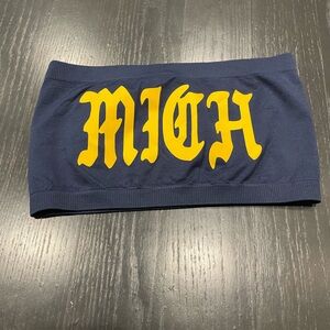 University of Michigan Tailgate!!!